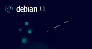 Lee más sobre el artículo Instalación de un nodo podado de Bitcoin en Debian 11 Bullseye